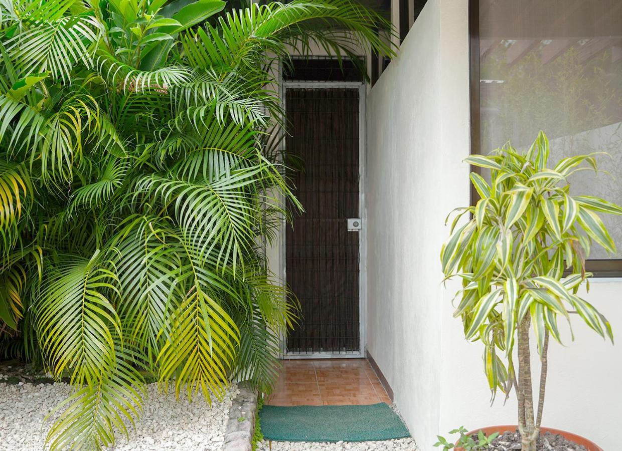 Apartamentos Y Studios Brisas Del Mar Santa Teresa Playa Santa Teresa  외부 사진