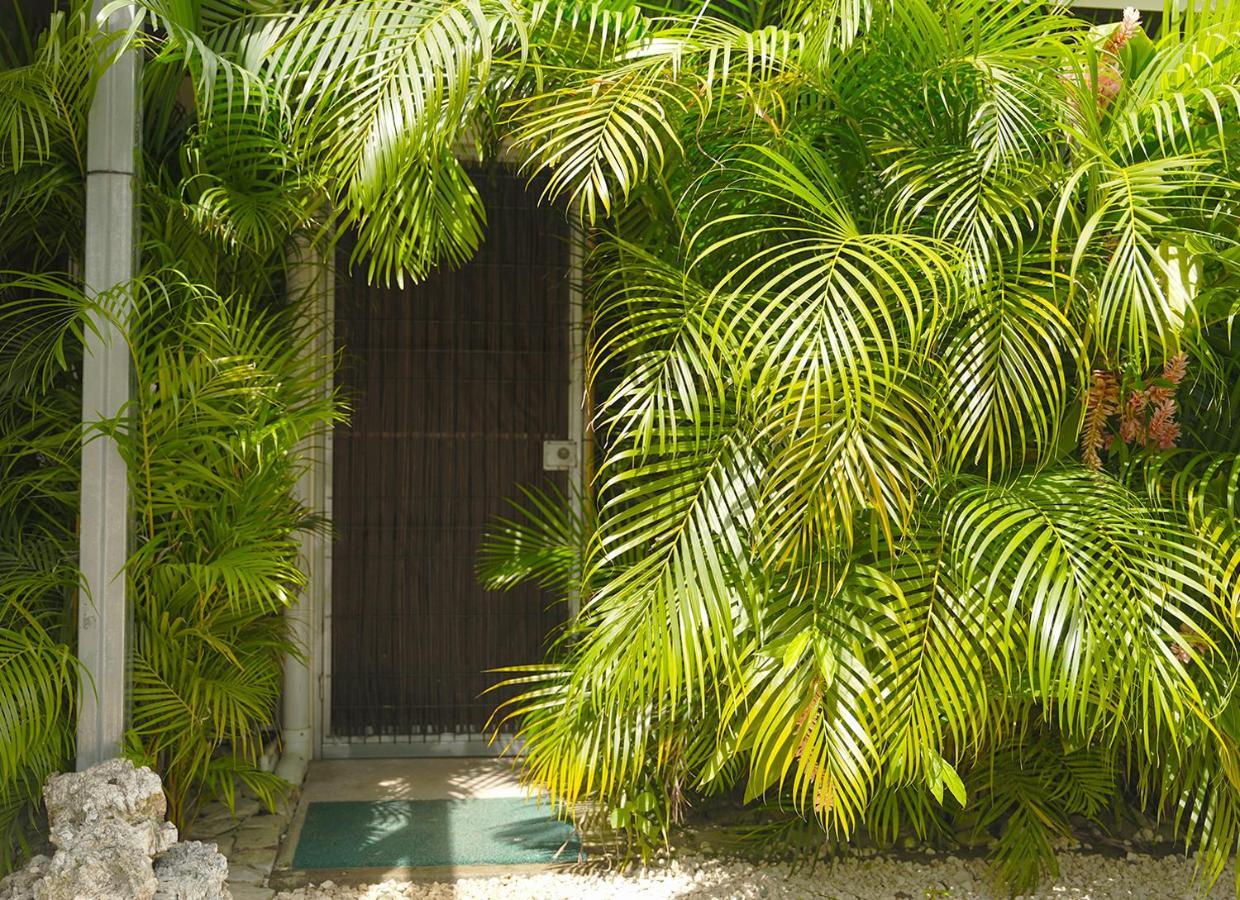 Apartamentos Y Studios Brisas Del Mar Santa Teresa Playa Santa Teresa  외부 사진